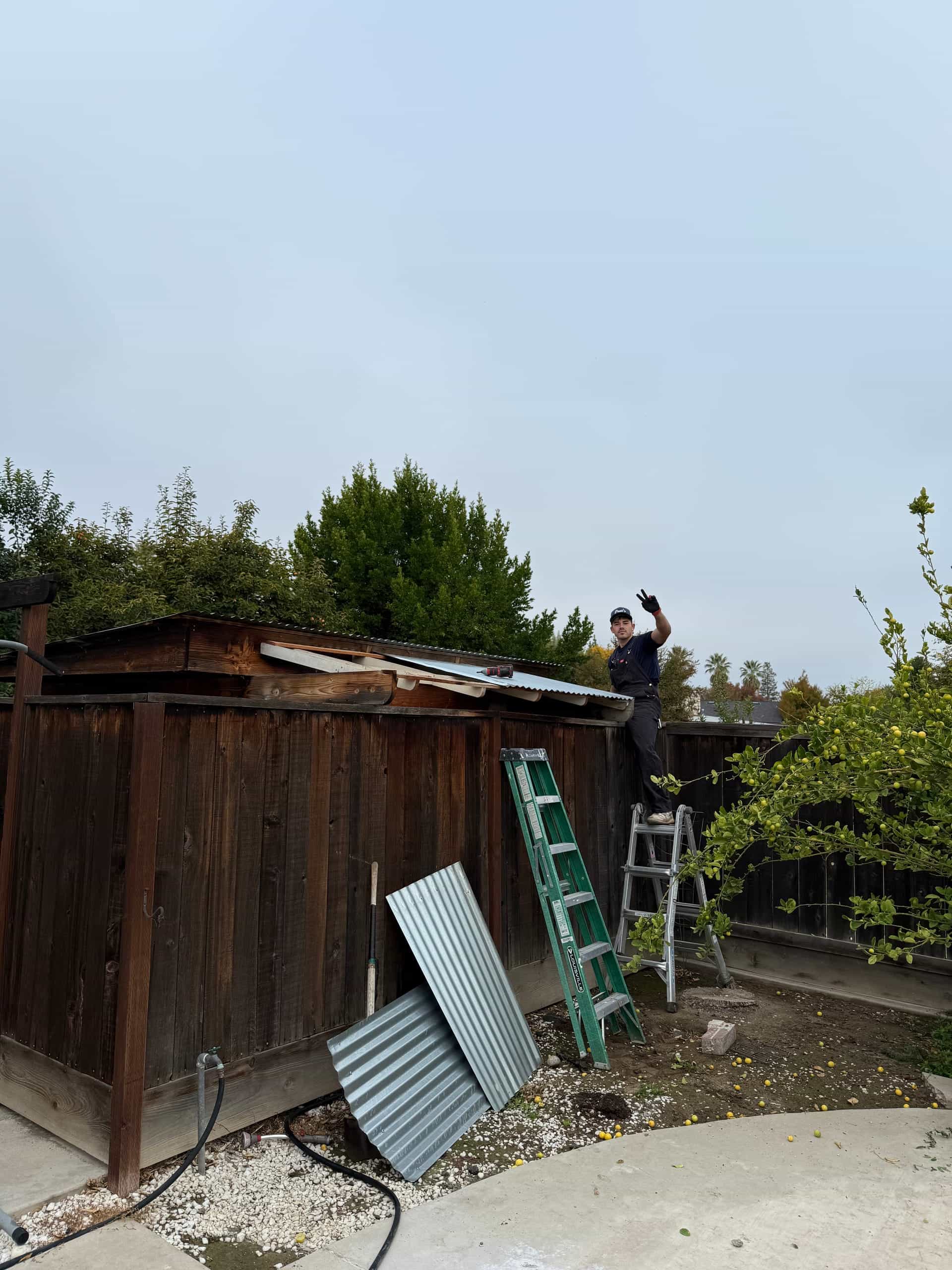 Papi's crew member on a ladder tearing down an old backyard shed roof