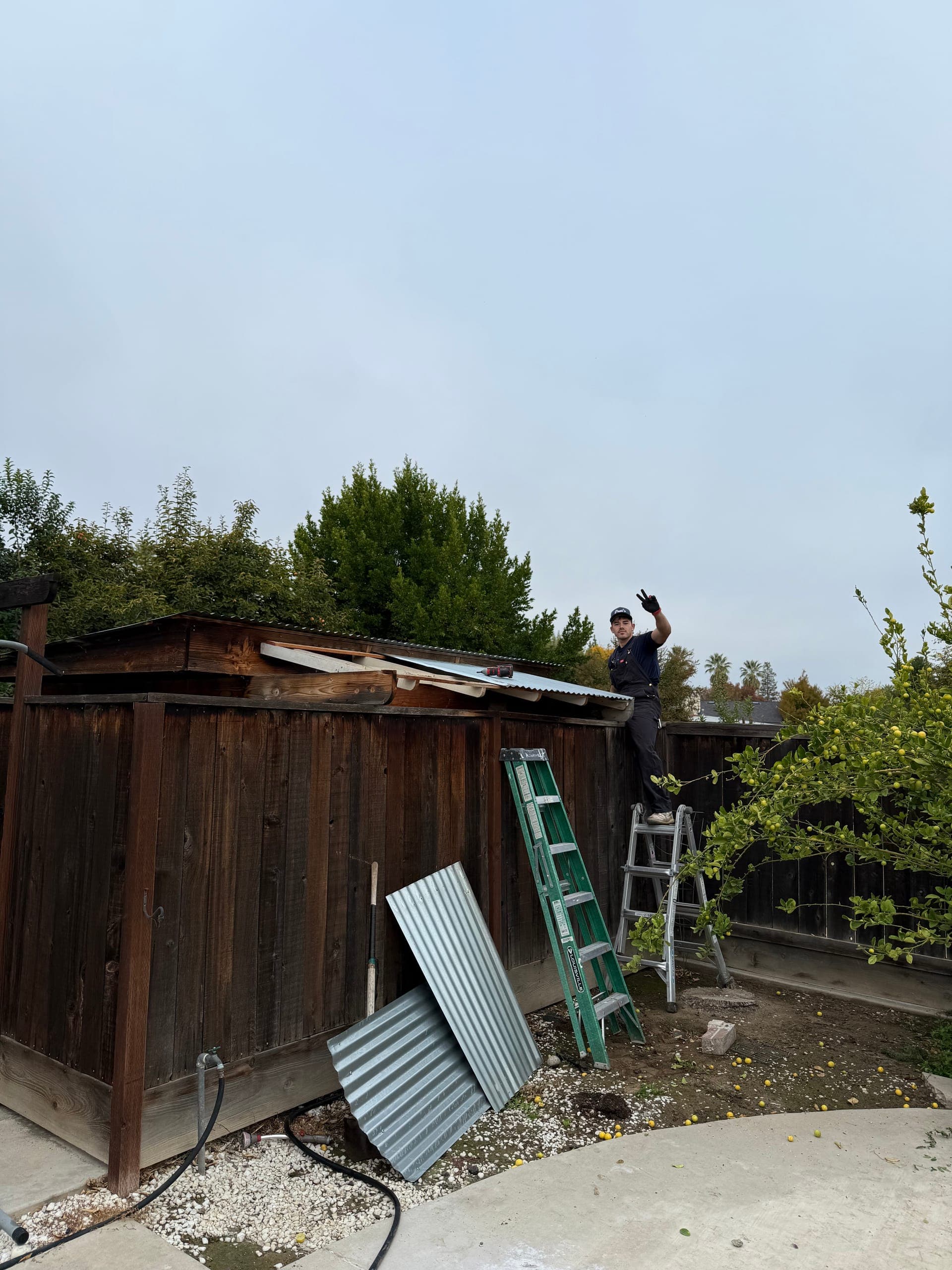 Papi's crew member on a ladder tearing down an old backyard shed roof