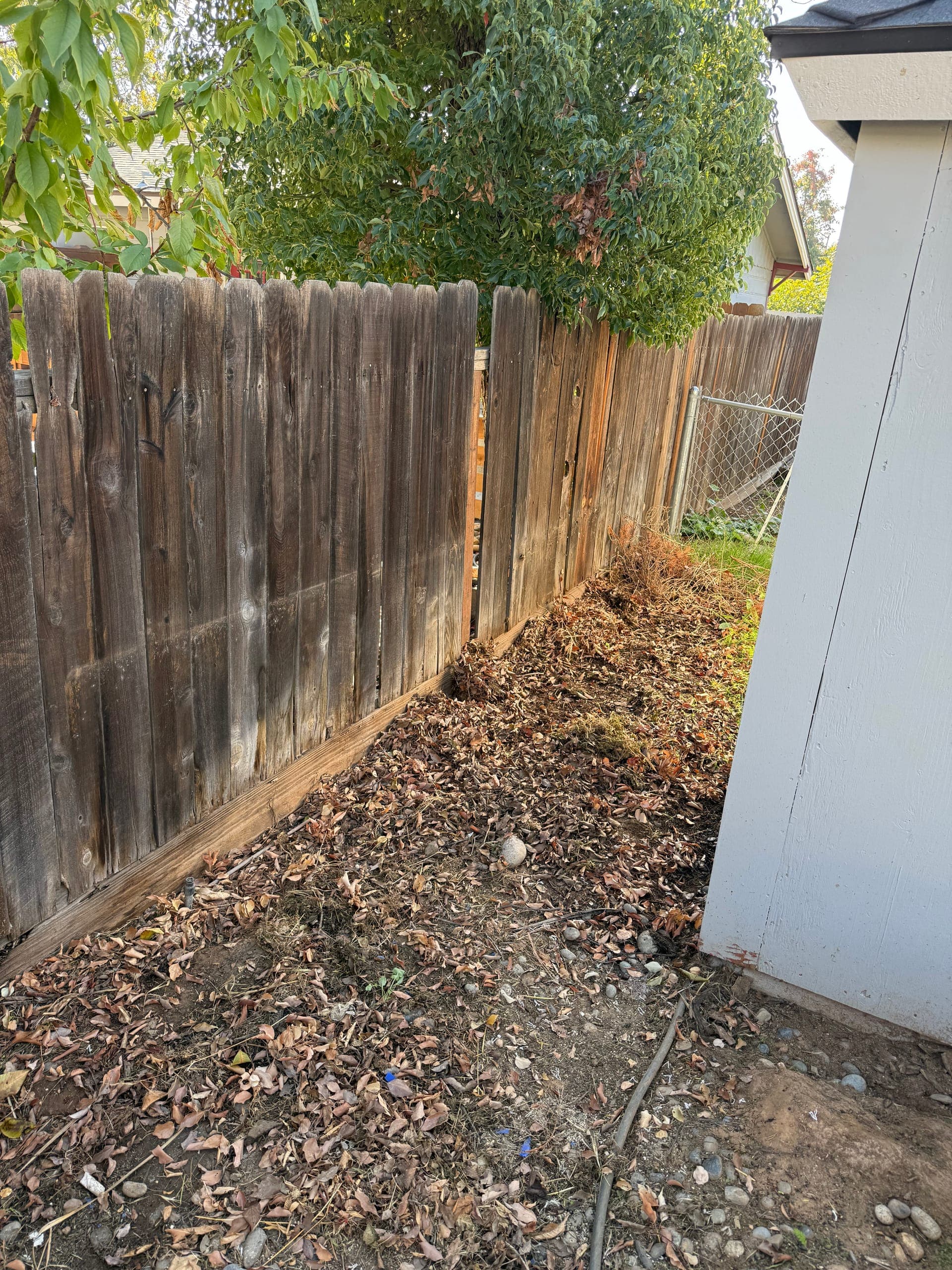 The same side yard cleared down to the dirt after Papi's hauled everything away
